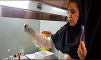 برگزاری کارگاه تشخیص آزمایشگاهی بیماری های منتقله از آب و غذا با اولویت التور